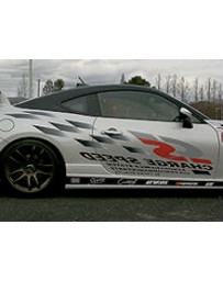 ChargeSpeed CS Vinyl Graphics Right/ Passenger Side Decal Stick