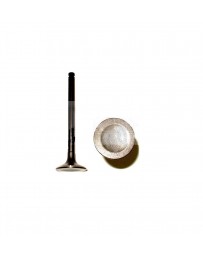 Exhaust Valve 280ZX 79-83