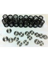 R33 Manley Spring and Retainer Kit