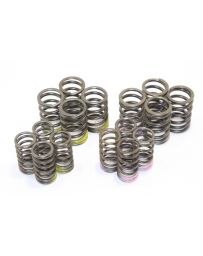 Kameari Race Valve Springs Set Type-R3 - 2TG