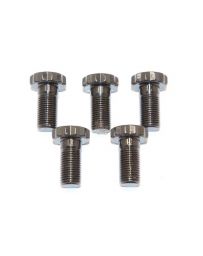 Kameari ARP High Strength Flywheel Bolt Set L16 L18