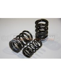 Kameari L-Type SPL Valve Springs Set - 10000 RPM L4