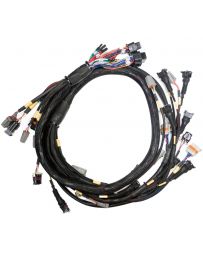 Link ECU Terminated Engine Harness GM LS GEN3/4