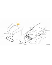 370z Nissan OEM Bonnet