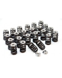 Nissan GT-R R35 GSC Power Division Spring & Retainer Kit 