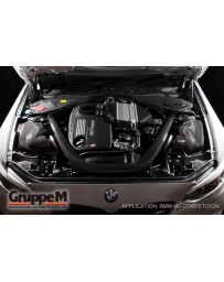 GruppeM BMW F87 M2 3.0 TURBO 2016 ~ (FRI-0341)