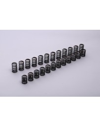 Tomei VALVE SPRING A-TYPE For NISSAN R33 RB25