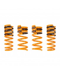 ARK Performance Infiniti G37 Coupe 3.7L, RWD GT-F Lowering Springs (08-13)